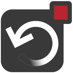 Remo Recover Windows logo
